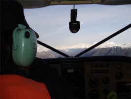 Pilot1.jpg (66237 bytes)