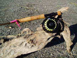 Rod on Log1.jpg (261558 bytes)