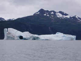 p1010037.jpg (79165 bytes)