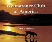 2001cover.jpg (19263 bytes)