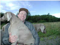 Bob and Dogs.jpg (22861 bytes)