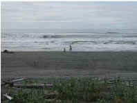 Mom and Tanis on Beach.jpg (21412 bytes)
