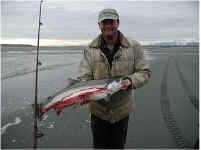 Pat's Bloody Coho.jpg (19381 bytes)