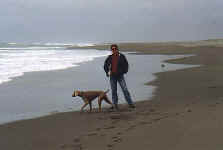 bobnemmaonbeach.jpg (18786 bytes)