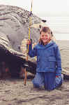 calebwhale.jpg (115503 bytes)