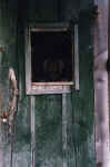 dontleavewithoutme.jpg (24327 bytes)