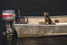 emmainboat.jpg (29344 bytes)