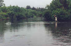 johnfishonnew5.jpg (116068 bytes)