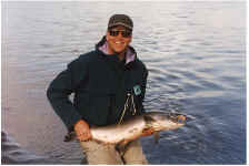 toddcoho.jpg (60230 bytes)