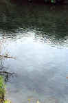 fishing9.jpg (34958 bytes)
