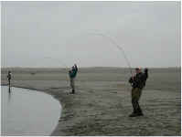 fishing9.jpg (20111 bytes)