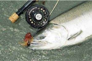 Brown Popper1.jpg (63429 bytes)