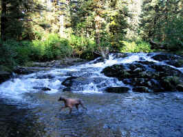 Falls Emma3.jpg (112738 bytes)