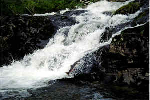 Falls Jump4.jpg (95331 bytes)