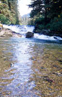 Falls Lining Up3.jpg (199843 bytes)
