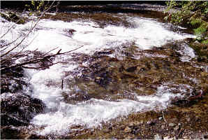 Falls Pool17.jpg (136093 bytes)