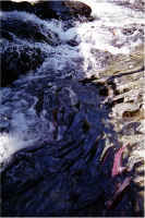 Falls Pool24.jpg (195016 bytes)