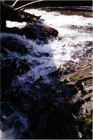 Falls Pool25.jpg (183723 bytes)