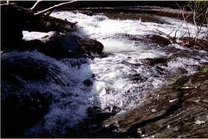Falls Pool26.jpg (94434 bytes)
