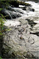 Falls Pool7.jpg (280122 bytes)