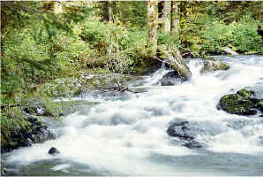 Falls Timed1.jpg (121996 bytes)