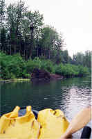 Float Eagle Nest1.jpg (157834 bytes)