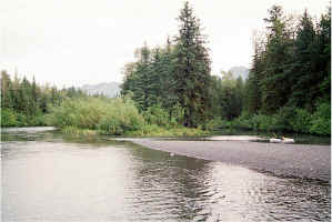 Float Pool2.jpg (91864 bytes)