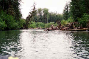 Float Wolf1.jpg (97878 bytes)