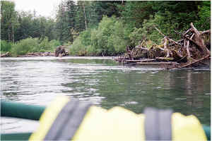 Float Wolf2.jpg (92482 bytes)