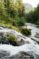 John Falls2.jpg (199454 bytes)