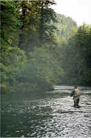 John Falls3.jpg (174458 bytes)