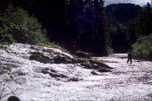 John Falls8.jpg (86395 bytes)