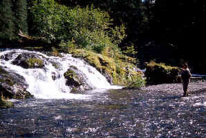 John Falls9.jpg (98582 bytes)