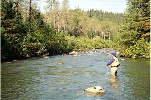 John West Fork1.jpg (131408 bytes)