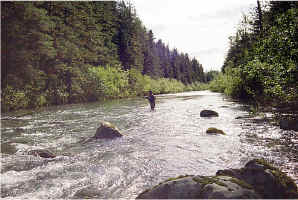 John West Fork2.jpg (124317 bytes)