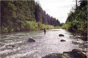John West Fork3.jpg (140578 bytes)