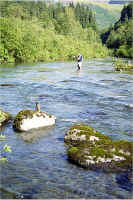 John West Fork4.jpg (213368 bytes)