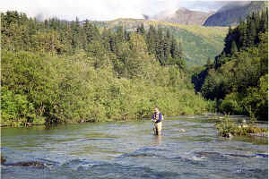John West Fork6.jpg (127189 bytes)