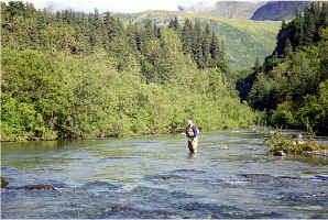 John West Fork7.jpg (133384 bytes)