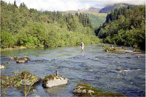 John West Fork8.jpg (117432 bytes)