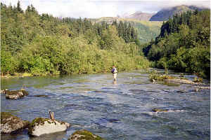 John West Fork9.jpg (127314 bytes)