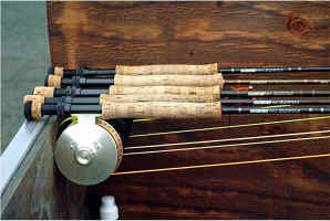 Rods2.jpg (48980 bytes)
