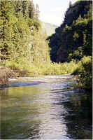 Upper West Fork1.jpg (210322 bytes)