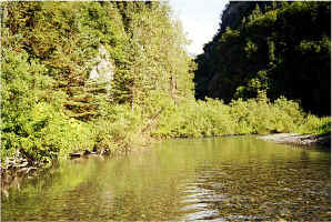 Upper West Fork2.jpg (137379 bytes)