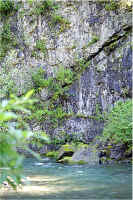 Upper West Fork3.jpg (257076 bytes)