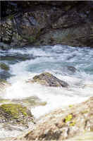 Upper West Fork6.jpg (152752 bytes)