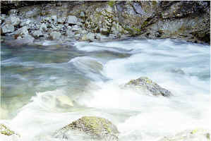 Upper West Fork7.jpg (84821 bytes)