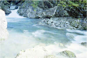 Upper West Fork8.jpg (92557 bytes)