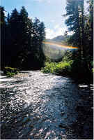 sunpeeksthrough.jpg (274669 bytes)