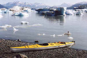 Kayaking7.jpg (36978 bytes)
